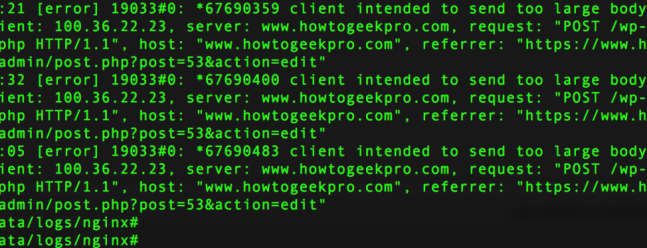 Client intended to send too large body nginx server